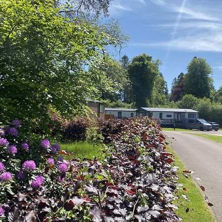 Callander Woods Holiday Park Dış mekan fotoğraf
